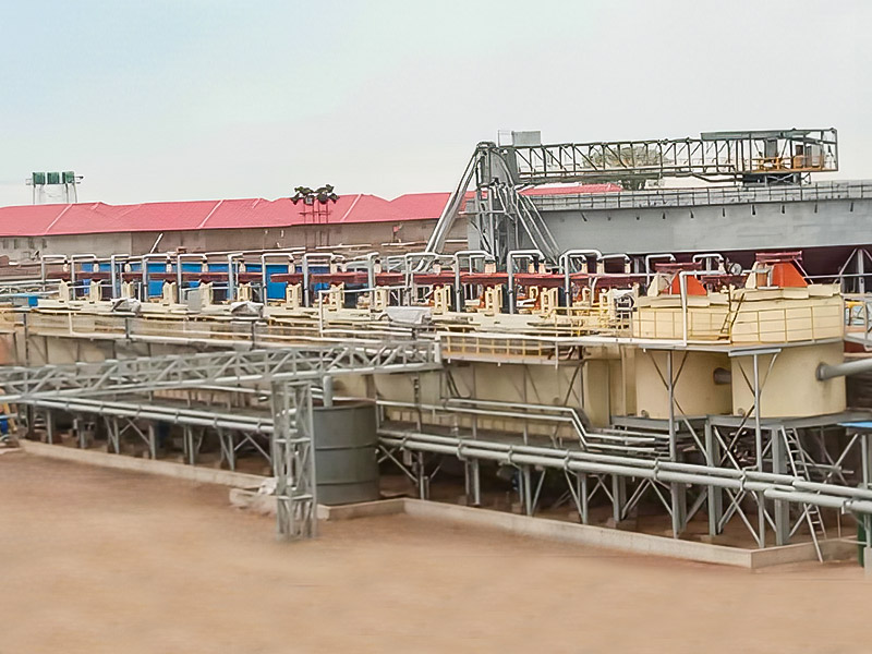 Projekt Zimbabwe Lepidolite 3000T/D - Zhejiang Dingsen Holding Co., Ltd.
